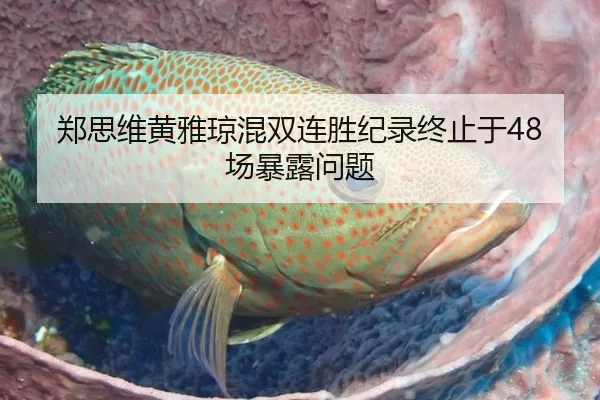 郑思维黄雅琼混双连胜纪录终止于48场暴露问题